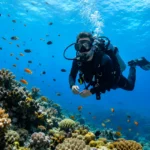دنیای زیر آب و آبسنگ‌های مرجانی