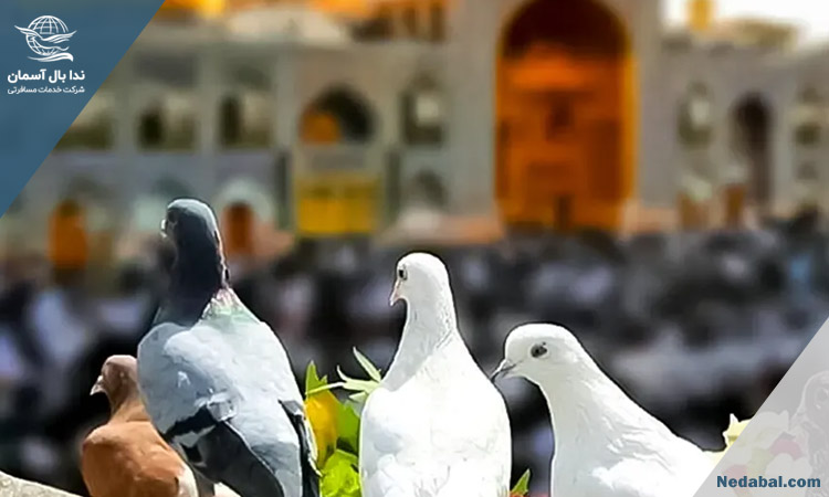 بهترین زمان بازدید از حرم امام رضا در مشهد چه فصلی است؟