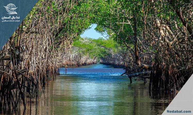 تجربه گشت و گذار در قشم: چه مکان هایی برای خانواده مناسب تر است؟